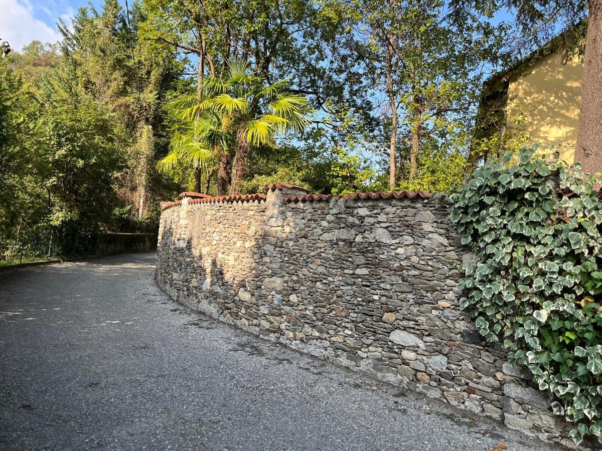 Vsc Apartment - Appartamento In Villa Storica Vista Lago E Piscina Lesa Zewnętrze zdjęcie