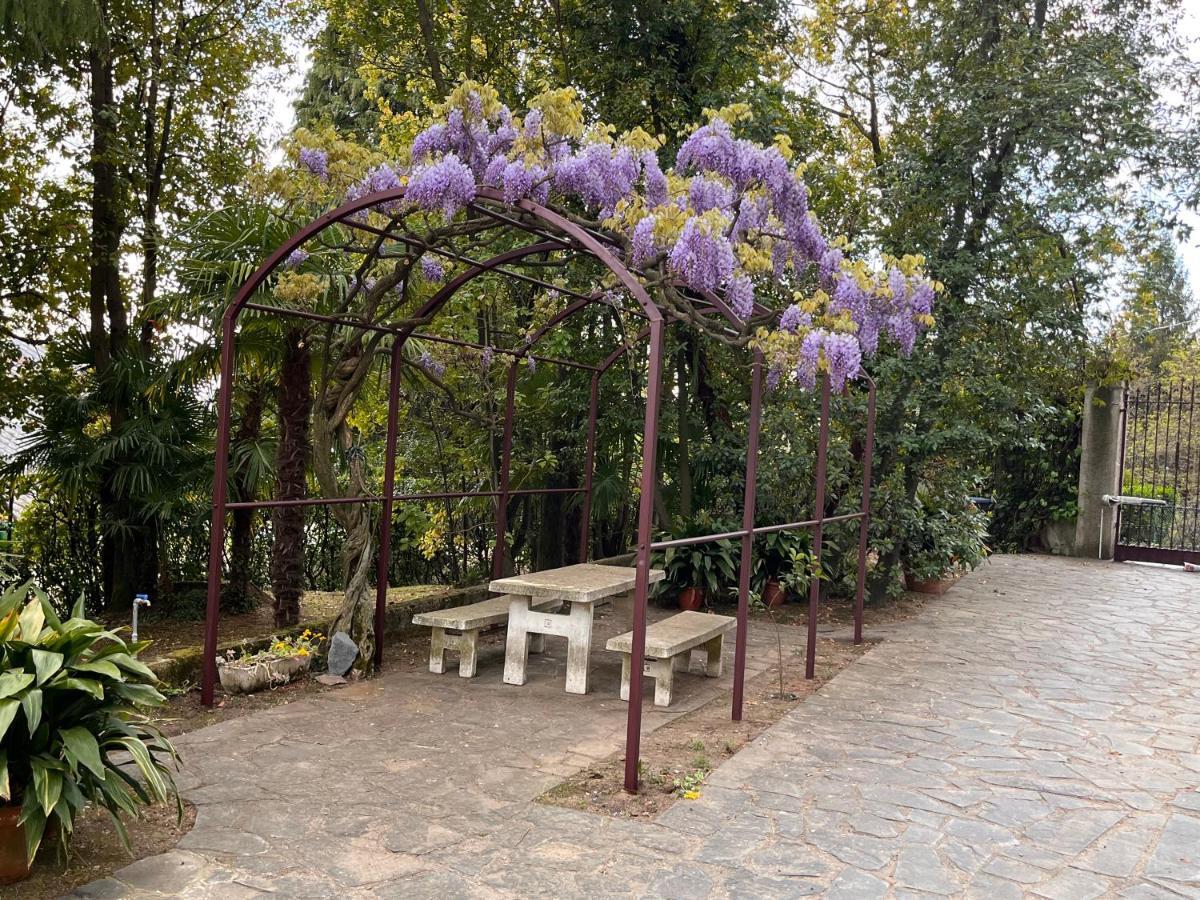 Vsc Apartment - Appartamento In Villa Storica Vista Lago E Piscina Lesa Zewnętrze zdjęcie