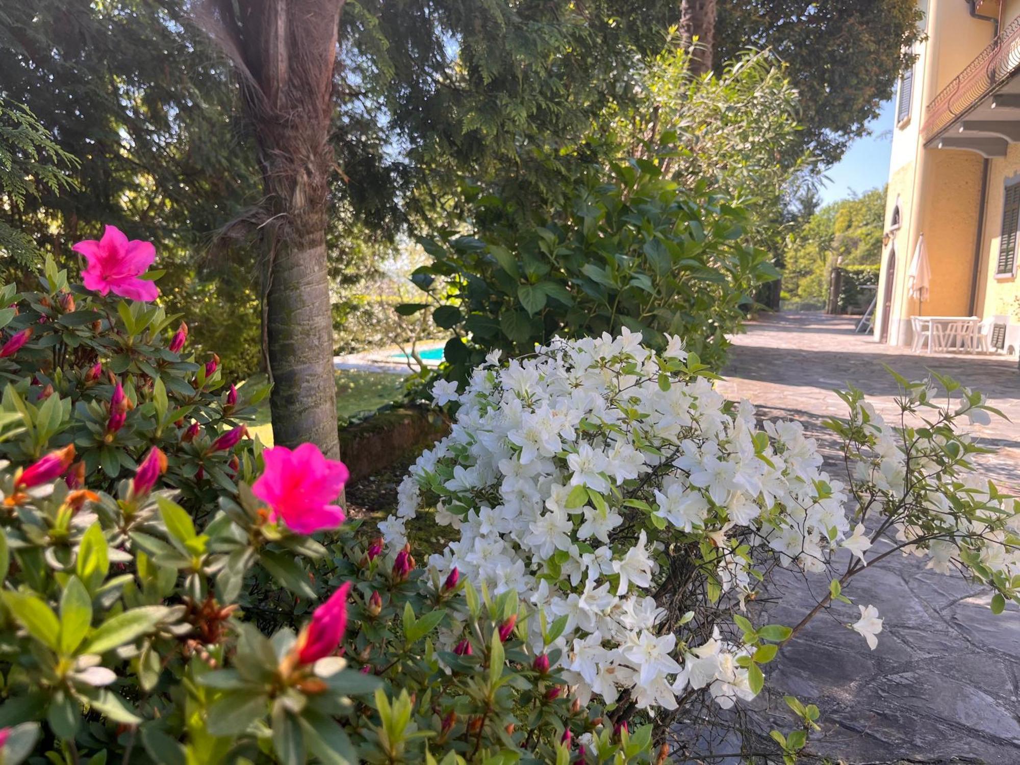 Vsc Apartment - Appartamento In Villa Storica Vista Lago E Piscina Lesa Zewnętrze zdjęcie